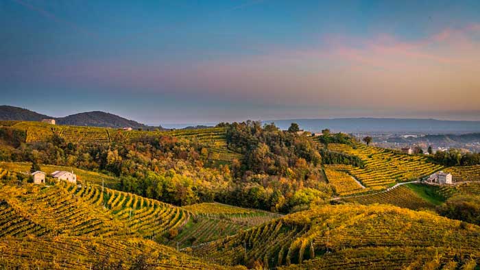 Prosecco Valdobbiadenecom paesaggio